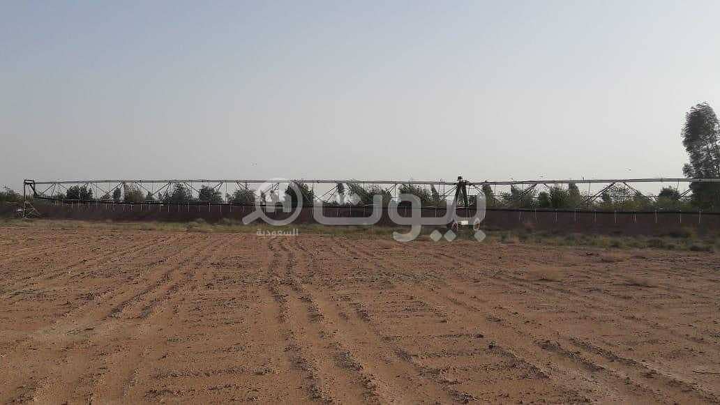 مزرعة للبيع في مخطط حمادة، المجمعة مزرعة للبيع في مخطط حمادة، المجمعة