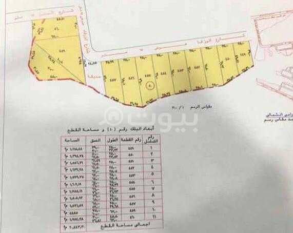 Land for sale in Zarqa Street Al Khuzama district, west of Riyadh