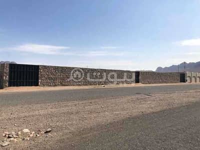Commercial Land for Rent in Madina, Al Madinah Region - Commercial land for rent in Al Ghabah, Madina