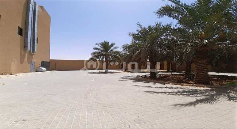 Commercial showroom for rent in Al Malqa district, north of Riyadh