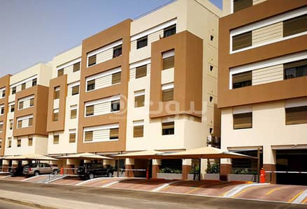 شقة 2 غرفة نوم للايجار في جدة، المنطقة الغربية - شقة فاخرة للايجار في الحمراء، وسط جدة