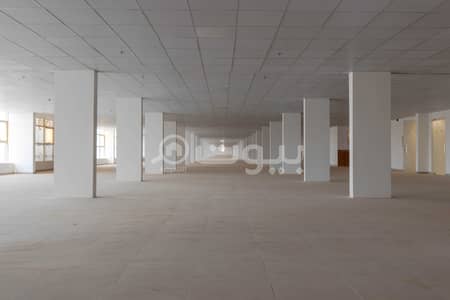 Showroom for Rent in Riyadh, Riyadh Region - Fully-Serviced Showroom for rent in King Fahd District, North of Riyadh Showroom for Rent in Riyadh, Riyadh Region - Fully-Serviced Showroom for rent in King Fahd District, North of Riyadh