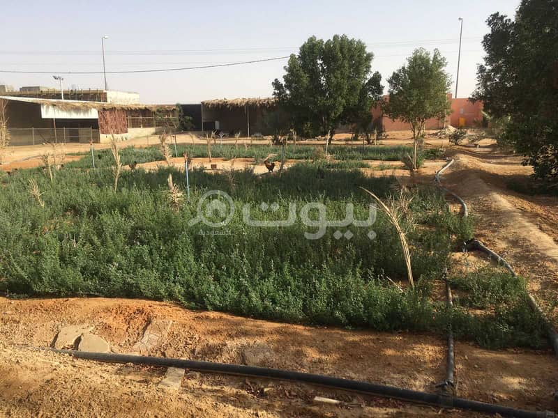للبيع إستراحة في ضرما، منطقة الرياض للبيع إستراحة في ضرما، منطقة الرياض