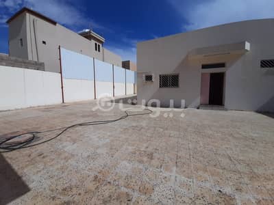 فیلا 4 غرف نوم للبيع في الزلفي، منطقة الرياض - بيت شعبي للبيع بحي صديان الشرقي، حائل