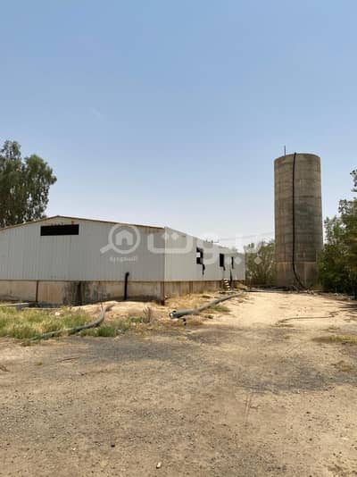 Farm for Sale in Unayzah, Al Qassim Region - Farm for sale in Shuaib neighborhood, Unayzah
