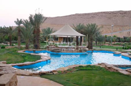 مزرعة 8 غرف نوم للبيع في الدرعية، منطقة الرياض - مزرعة للبيع في الجبيلة، الدرعية