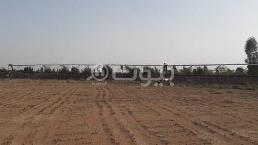 مزرعة  للبيع في المجمعة، منطقة الرياض - مزرعة للبيع في مخطط حمادة، المجمعة