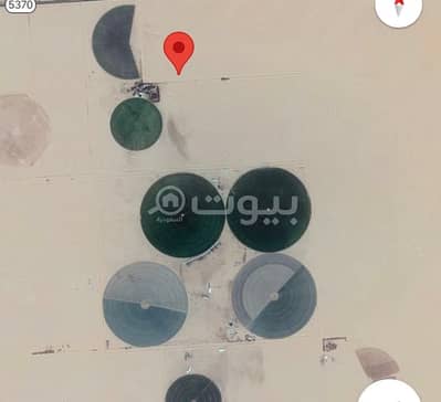 Farm for Sale in Al Duwadimi, Riyadh Region - Farm for sale in Al Duwadimi