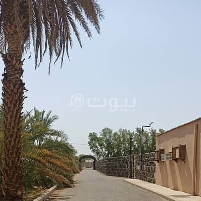 Farm for Sale in Madina, Al Madinah Region -