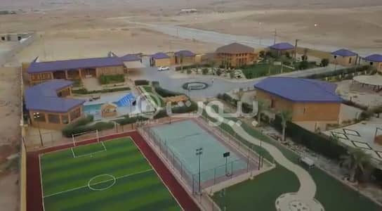 Farm for Sale in Al Diriyah, Riyadh Region - Farm | with a Pool for sale in Al Ammariyah, Al Diriyah