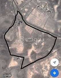 Agriculture Plot for Sale in Madina, Al Madinah Region - Agriculture Land For Sale In Al Nakhil, Madina
