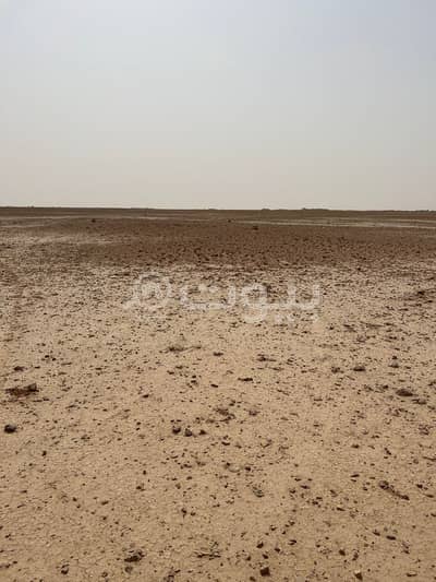 ارض تجارية  للبيع في الرياض، منطقة الرياض - أرض سكنية | 900م2 للبيع في حي الشرق، شرق الرياض