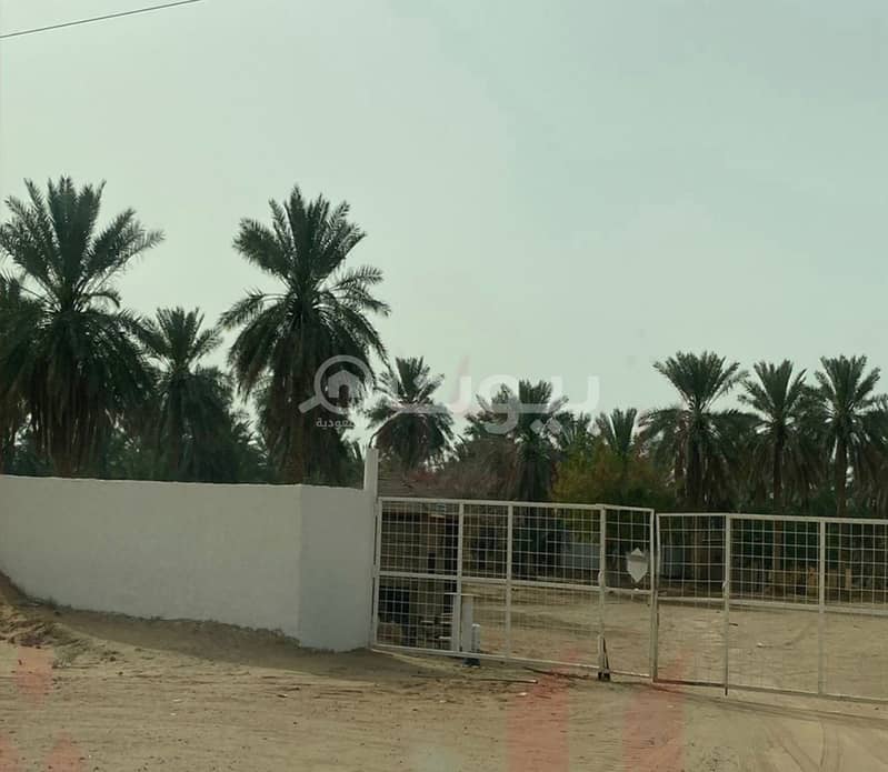 Farm for sale in Al Mulayda near the airport in Buraydah, Al Qassim