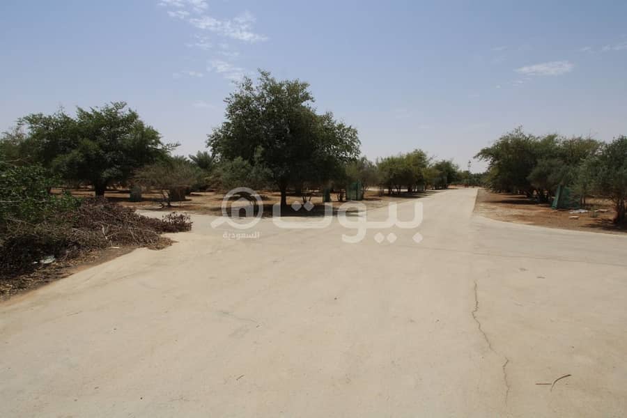Farm for sale Al-Kharj Road, Al-Kharj