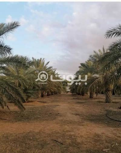 Farm for Sale in Thadiq, Riyadh Region - A farm for sale with an external extension in Thadiq Governorate