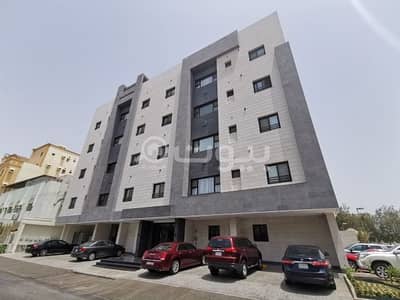 شقة 1 غرفة نوم للايجار في جدة، المنطقة الغربية - استوديو جديد للإيجار بحي الزهراء، شمال جدة