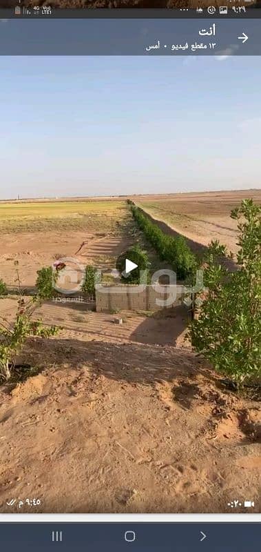 Agricultural land for sale in Al Washm, Riyadh Region