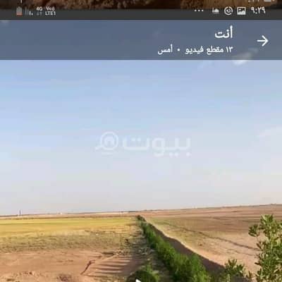 ارض زراعية  للبيع في شقراء، منطقة الرياض - أرض زراعية للبيع في الوشم، شقرا