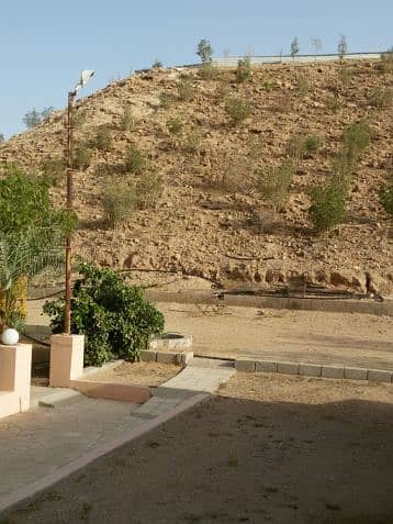 8 Photo