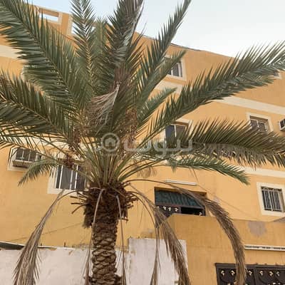 عمارة سكنية 2 غرفة نوم للبيع في مكة، المنطقة الغربية - عمارة سكنية للبيع في جبل النور، مكة