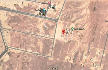 ارض زراعية  للبيع في الدرعية، منطقة الرياض - أرض زراعية للبيع في العمارية، الدرعية | قطعة رقم 175