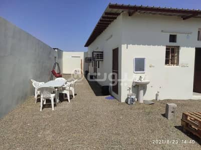 3 Bedroom Chalet for Rent in Umluj, Tabuk Region - Chalet for rent in Al Ulaya, Umluj