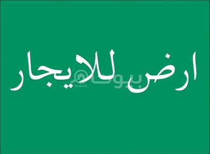 ارض