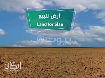 Residential Land for Sale in Riyadh, Riyadh Region - Residential Land in Riyadh，North Riyadh，Al Ghadir - 87506167