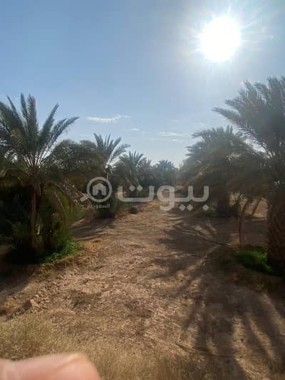 Agriculture Plot for Sale in Al Majmaah, Riyadh Region -