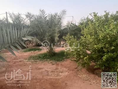 ارض زراعية  للبيع في القويعية، منطقة الرياض - مزرعه للبيع تبراك جنوب طريق الحجاز القويعية | إعلان رقم 998