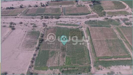 Agriculture Plot for Sale in Makkah, Western Region - Agricultural plot for sale in Wadi Rahjan, Makkah | auction.