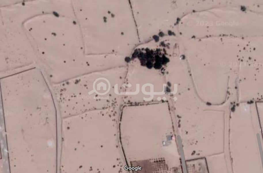 اراضي زراعية للايجار في حي الغولاء , شمال جدة اراضي زراعية للايجار في حي الغولاء , شمال جدة