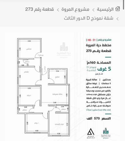 شقة