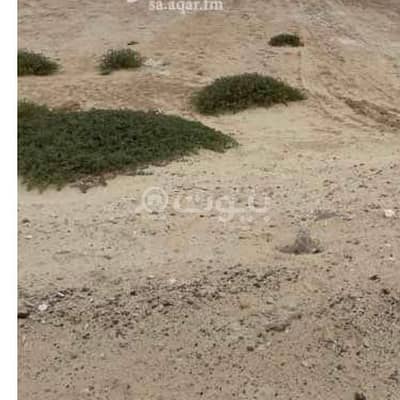 ارض