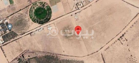 مزرعة  للبيع في بريدة، منطقة القصيم - مزرعتين للبيع  بريدة الميلداء جوار مطار الامير نايف بن عبدالعزيز