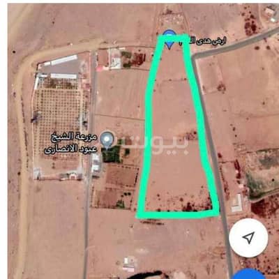 Agriculture Plot for Sale in Jeddah, Western Region - Agriculture Land For Sale In Al Jamjoom Scheme, North Jeddah
