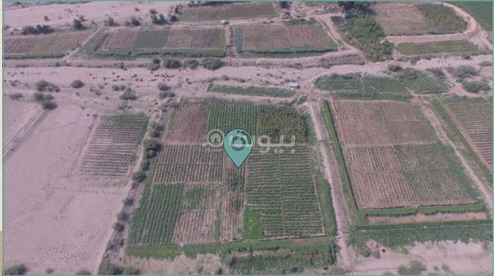 Agricultural plot for sale in Wadi Rahjan, Makkah | auction.