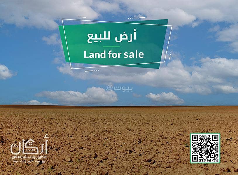 Agriculture Plot in Baqaa 392000000 SAR - 87515437