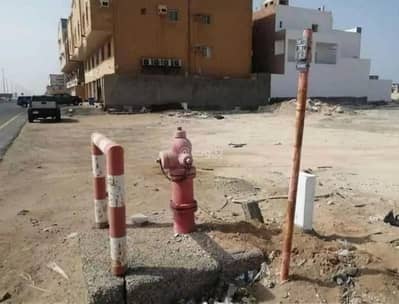 Commercial Land for Rent in Jeddah, Western Region - Land For Rent in Abhur Al Shamaliyah, Jeddah