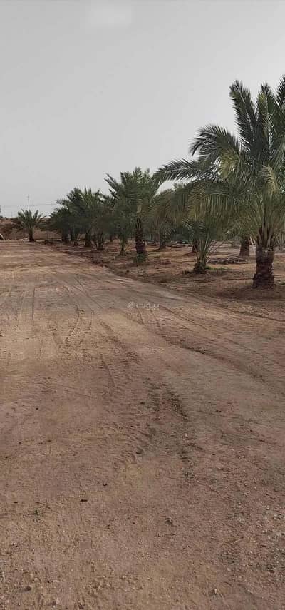 Commercial Land for Sale in Al Jubaylah, Riyadh Region - Land for Sale in Aqrabaa District, Al Jubailah