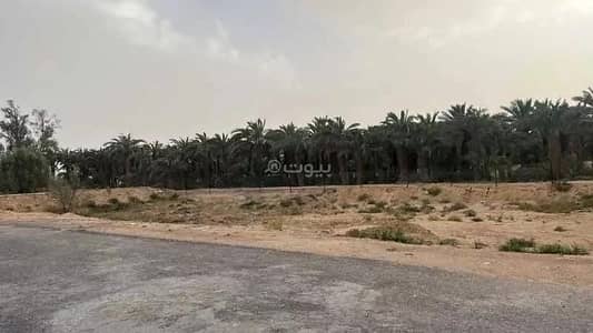 ارض سكنية  للبيع في العيينة، منطقة الرياض - أرض للبيع في حي العيينة، الرياض