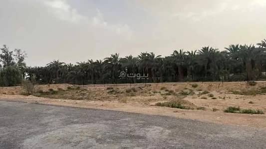 ارض سكنية  للبيع في العيينة، منطقة الرياض - للبيع أرض في، العيينة