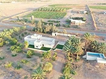 Farm for sale in Al Shinan