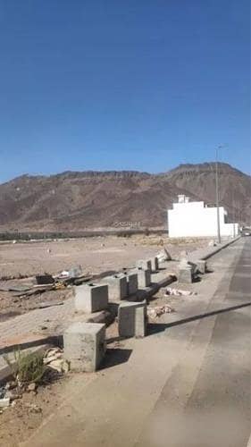 Land for Sale in Al Sakb, Madina - Land For Sale in Al Sakb, Madina