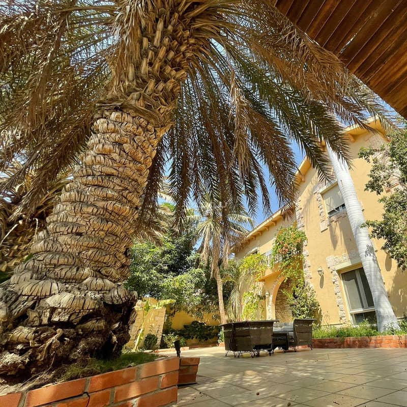 Villa in North Jeddah,Al Basateen 4 bedrooms 3500000 SAR - 87482050 Villa in North Jeddah,Al Basateen 4 bedrooms 3500000 SAR - 87482050