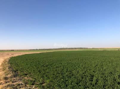 Farm for Sale in Amal District, Al Bukayriyah - Farm For Sale, Amal, Al Bukayriyah