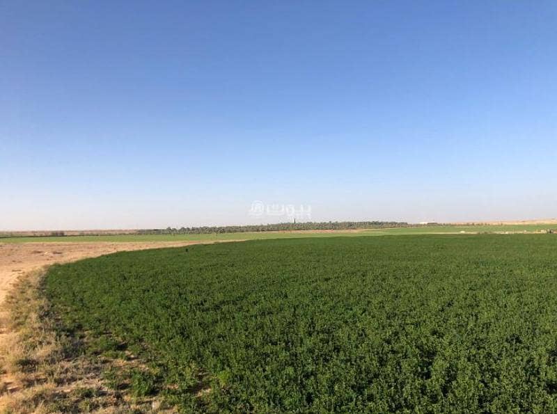 Farm For Sale, Amal, Al Bukayriyah