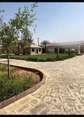 3 Bedroom Farm for Rent in Al Muzahimiyah Riyadh Region - Farm for rent in  Al Muzahimiyah Riyadh Region