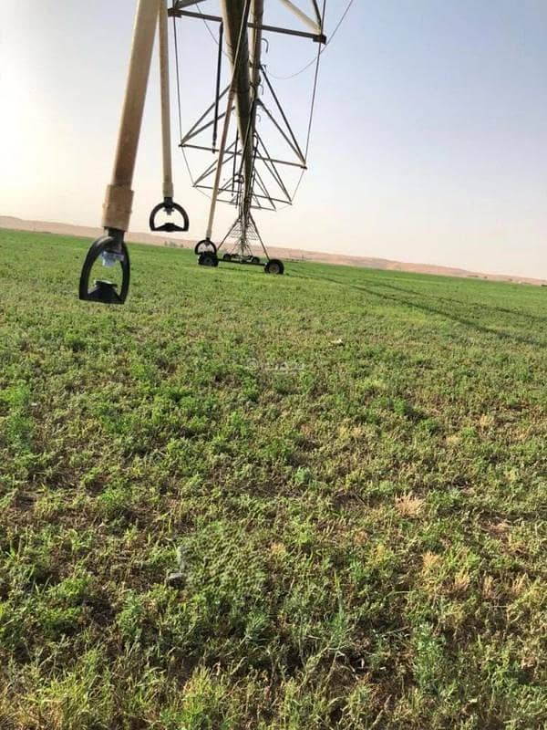 Farm for sale in Al Jalf City, Hail Region