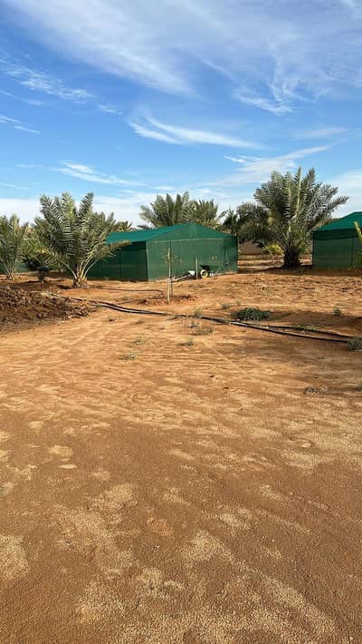 4 Bedroom Farm for Sale in Al Khalidiyah, Thadiq - Farm in Al Khalidiyah 4 bedrooms 3800000 SAR - 87604959